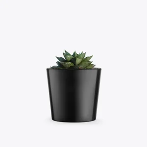 product-image-3_optimized.webp Augue Neque